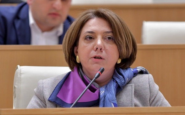 სტუდენტებო, მოგიწოდებთ, ბოიკოტი გამოუცხადოთ რუსული საოკუპაციო რეჟიმის მსახურ ლექტორებს, არ შეხვიდეთ მათ ლექციაზე - სალომე სამადაშვილი