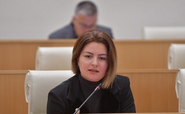 გასაბჭოვდა ეს ქვეყანა ერთხელ, მაგრამ მეორედ მის გასაბჭოებას არავინ არ დაგანებებთ - ანა ნაცვლიშვილი