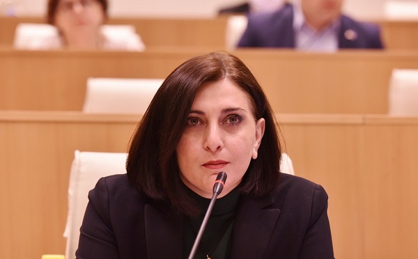 უამრავი ადამიანის და ორგანიზაციის სახელით მოგიწოდებთ, არ დაუჭიროთ მხარი ამ კანონპროექტებს - თამარ კორძაია