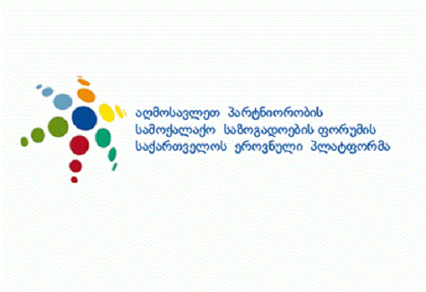 ე.წ, ,,ამერიკული კანონი““  არსებითად განსხვავდება ავთენტური ამერიკული კანონისგან - საქართველოს ეროვნული პლატფორმა