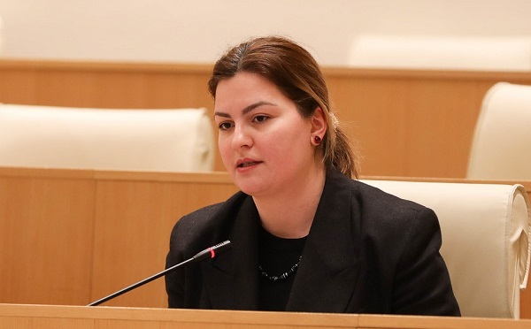 ყველა ეუბნება არას რუსულ კანონს, მარტო ხართ ამ კანონთან, რუსულ კანონთან! - ანა ნაცვლიშვილი საპარლამენტო უმრავლესობას
