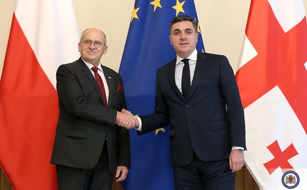 პოლონეთის სახით საქართველოს ძლიერი და საიმედო მხარდამჭერი ჰყავს - ილია დარჩიაშვილი