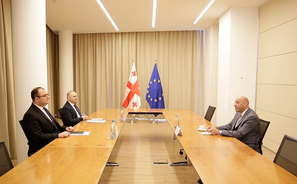 იუსტიციის მინისტრმა საქართველოში გაერო-ს ბავშვთა ფონდის წარმომადგენელთან  გამოსამშვიდობებელი შეხვედრა გამართა