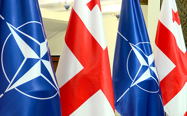 გამოკითხულთა 65% NATO-ში გაწევრიანებას მტკიცედ უჭერს მხარს - IRI