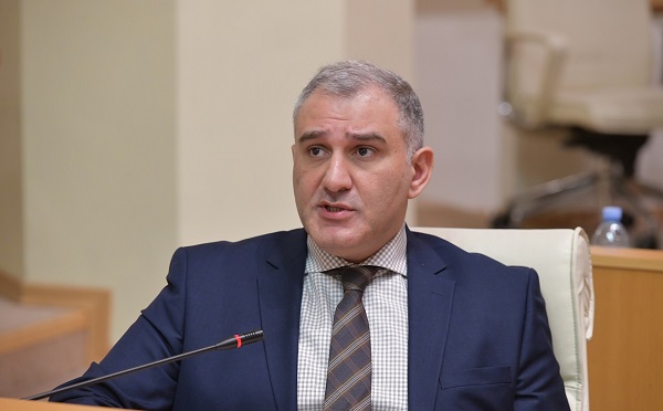 პრობლემაა, როდესაც ოპოზიცია ცდილობს, გმირად შერაცხოს ადამიანი, რომელიც საზოგადოებას გაეცნო როგორც „მოლოტოვის კოქტეილის“ მსროლელი - მიხეილ სარჯველაძე