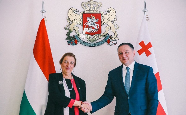 საქართველოს შინაგან საქმეთა მინისტრი უნგრეთის რესპუბლიკის  ელჩს შეხვდა