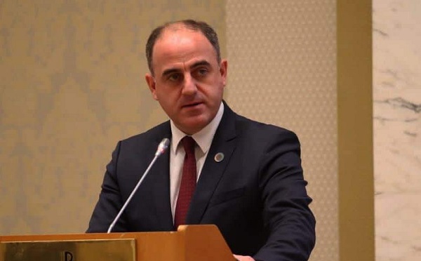 დავით ნარმანია საქართველოს დამსაქმებელთა ასოციაციის ორგანიზებით გამართულ შეხვედრაზე სიტყვით წარდგა