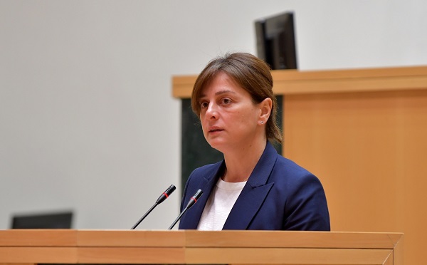 ჩემი ოცნება ასრულდა და პარლამენტში ოპოზიცია მონაწილეობას იღებს გარემოს დაცვის საკითხების განხილვაში - მაია ბითაძე