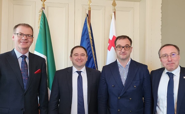 საპარლამენტო დელეგაცია ირლანდიის ცენტრალური საარჩევნო კომისიის თავმჯდომარეს შეხვდა
