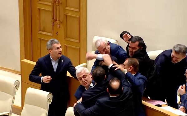 პარლამენტში დაჩი ბერაიასა და გიორგი ვაშაძეს შორის ფიზიკური დაპირისპირება მოხდა