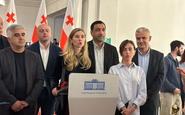 გვქონდა ძალიან მძიმე საუბარი, მივიღეთ გადაწყვეტილება, რომ ისინი გააკეთებდნენ განცხადებას ფრაქციის დატოვებასთან დაკავშირებით - ენმ დეპუტატებზე