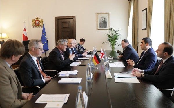 შალვა პაპუაშვილი გერმანიის ბუნდესთაგის ევროკავშირის საკითხთა კომიტეტის წევრებს შეხვდა