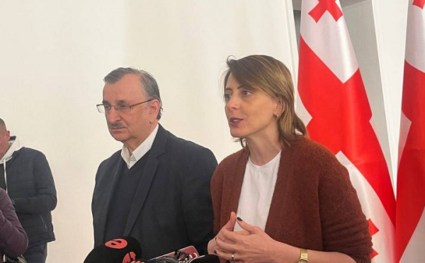 რომან გოცირიძე და ხატია დეკანოიძე პარლამენტში პოლიტიკურ ჯგუფს ქმნიან