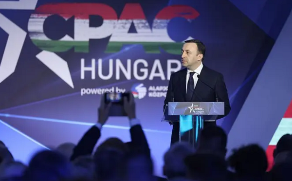 ევროპელი სოციალისტების პარტია გმობს ირაკლი ღარიბაშვილის ბუდაპეშტის კონფერენციაში მონაწილეობას და 