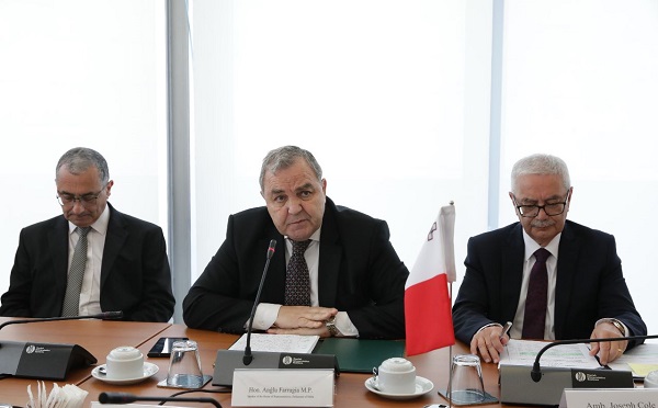 მალტა საქართველოს ევროკავშირში გაწევრიანებას სრულად უჭერს მხარს - ანჯელო ფარუჯა