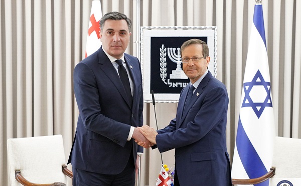 ილია დარჩიაშვილი ისრაელის პრეზიდენტს შეხვდა