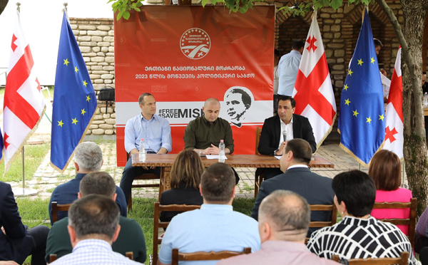 „ნაციონალური მოძრაობა“ პოლიტსაბჭოს სხდომას ყვარელში მიხეილ სააკაშვილის საკარმიდამოში მართავს