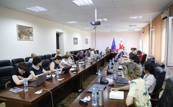 „გადავარჩინოთ ბუნება - საქართველო“ ფარგლებში, დაცული ტერიტორიების კონცეფციის სამუშაო დოკუმენტი საკონსულტაციო შეხვედრაზე განიხილეს