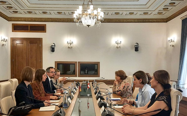 გერმანიის ბუნდესტაგის დელეგაციას შეხვედრაზე კანდიდატის სტატუსზე და იმ მძიმე ვითარებაზე ვისაუბრეთ, რომელიც ძალადობის და პროპაგანდის კუთხით არსებობს - ხატია დეკანოიძე