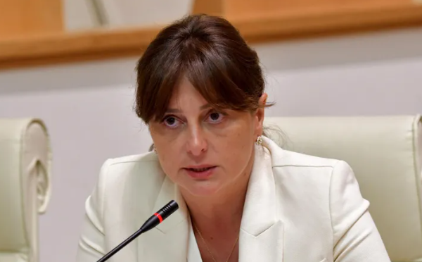 ჩვენი პარტნიორის განცხადება იწვევს პოლარიზაციას, ვწუხვარ, რომ ცოტათი იმედგაცრუებული ვარ - მაია ბითაძე