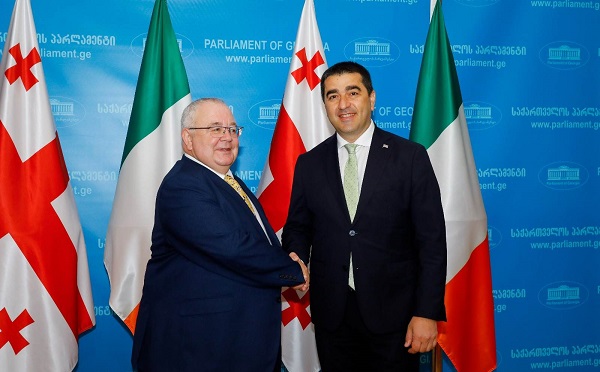 ირლანდია საქართველოს სუვერენიტეტის, ტერიტორიული მთლიანობისა და ევროპული ინტეგრაციის მტკიცე მხარდამჭერია, რაც, მათ შორის, ირლანდიის საკანონმდებლო ორგანოს არაერთი მიღებული რეზოლუციით გამოიხატა - შალვა პაპუაშვილი