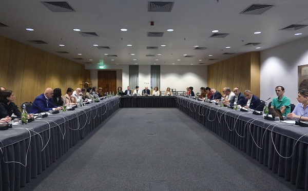 შს მინისტრის მოადგილემ მონაწილეობა მიიღო შშმ პირთა უფლებების დაცვის 2023 წლის სამოქმედო გეგმასთან დაკავშირებით გამართულ შეხვედრაში