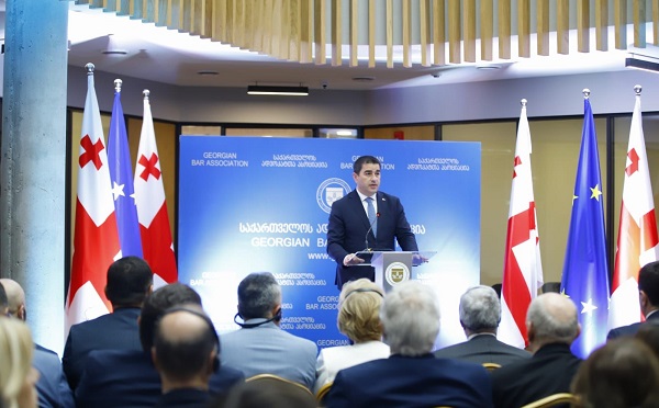 მნიშვნელოვანია, რომ ადვოკატთა სახლი განთავსებულია იქ, სადაც არის თბილისის საქალაქო სასამართლო, პროკურატურა. ამით რეალიზდება იდეა, რომელიც გულისხმობს მართლმსაჯულების უბნის შექმნას - შალვა პაპუაშვილი