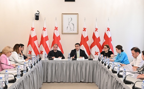 მას შემდეგ რაც ბიურო ღია პარლამენტის სამოქმედო გეგმას დაამტკიცებს, აღებული ვალდებულებების შესრულებაზე გადავალთ - შალვა პაპუაშვილი