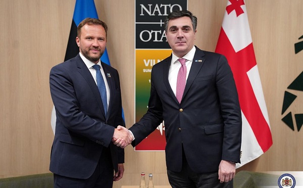 ილია დარჩიაშვილი ესტონელ კოლეგას შეხვდა