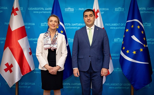 შალვა პაპუაშვილი ევროპის საბჭოს გენერალურ მდივანს შეხვდა