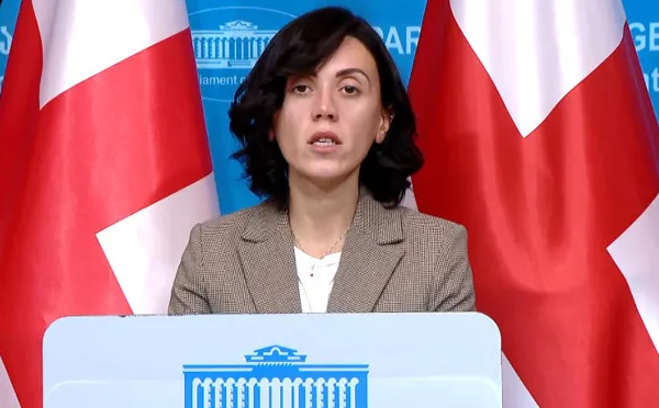 პრეზიდენტის განცხადებები კიდევ ერთი დადასტურებაა იმის, რომ „რუსული ოცნება“ და მათ მიერ არჩეული კურსი ამ ქვეყანას მიაქანებს ჭაობისკენ -  ანა წითლიძე