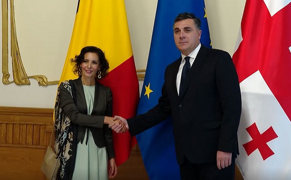 ილია დარჩიაშვილი ბელგიის სამეფოს საგარეო საქმეთა, ევროპის საქმეთა და საგარეო ვაჭრობის, ფედერალური კულტურული ინსტიტუტების მინისტრს შეხვდა