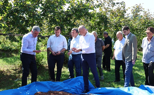 ოთარ შამუგია გურიაში მეთხილე ფერმერებს შეხვდა