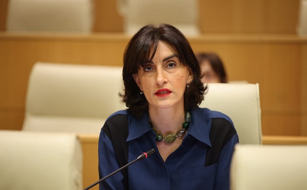 პრეზიდენტი ცდილობს, თავი წარმოაჩინოს, თითქოს მხოლოდ ის არის ქვეყნის ხელისუფალთა შორის ადამიანი, რომელიც ევროკავშირში ინტეგრაციას ლობირებს - მაკა ბოჭორიშვილი