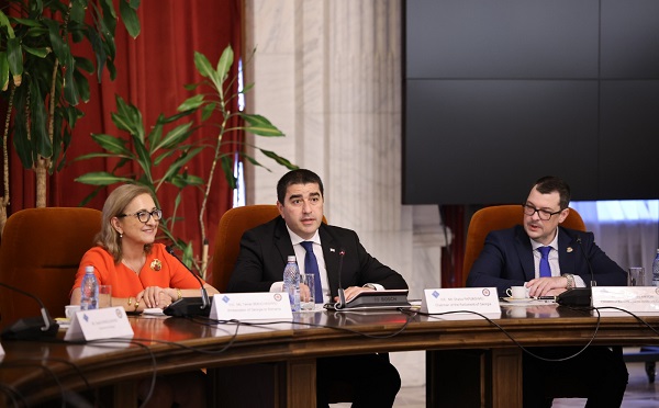 როდესაც საუბარი უკრაინის პირდაპირ სამხედრო დახმარებას ეხება, ჩვენ უფრო ფრთხილები ვართ, რადგან ჩვენს ქვეყანაში ომსა და მშვიდობას შორის ბეწვის ხიდზე ვდგავართ - შალვა პაპუაშვილი