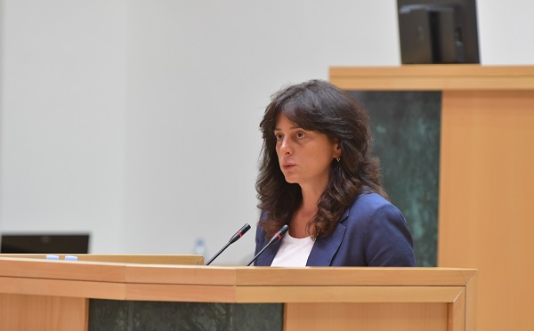 უბრალოდ, წარმოდგენა არ გაქვთ, რაზე ლაპარაკობთ - მაია ბითაძე ოპოზიციას 