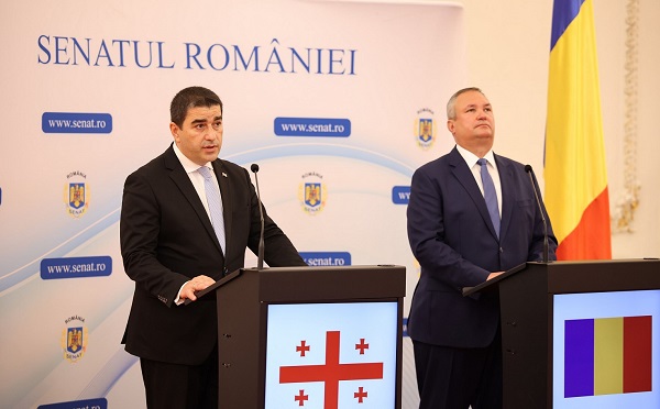 რუმინეთი საქართველოს ევროპული მომავლის მხარდაჭერის კუთხით წამყვანი ძალაა და ველოდებით ისეთივე პოზიციას, როგორიც არის უკრაინისა და მოლდოვას შემთხვევაში - შალვა პაპუაშვილი