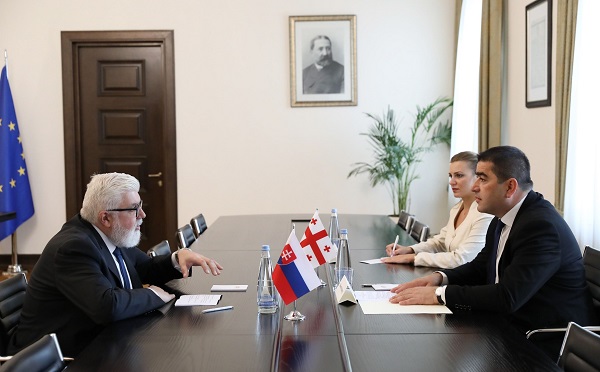 შალვა პაპუაშვილმა სლოვაკეთის რესპუბლიკის ელჩთან გამოსამშვიდობებელი შეხვედრა გამართა