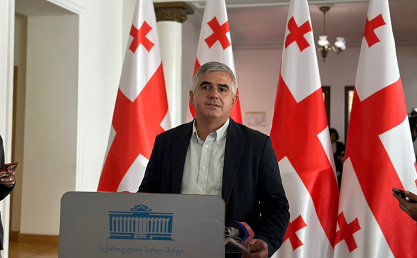 ნათია თურნავას გადაწყვეტილების შემდეგ პროტესტის ნიშნად ეროვნული ბანკის თანამშრომლები პეტიციას ამზადებდნენ - გიორგი ბოტკოველი