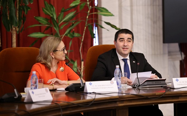 იმედი მაქვს, რომ შემდეგ ათწლეულში ევროკავშირისა და ნატო-ს საოცნებო ქოლგა საქართველოს ცაზე გაიშლება - შალვა პაპუაშვილი