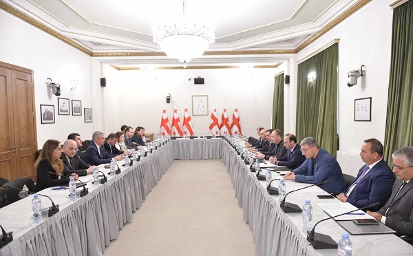 ნდობის ჯგუფმა 2024 წლის სახელმწიფო ბიუჯეტის პროექტზე იმსჯელა
