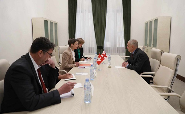 გიორგი ვოლსკი საქართველოსა და რუსეთში შვეიცარიის ელჩებს შეხვდა