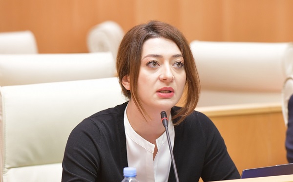 გვაქვს ინფორმაცია, რომ „ქართული ოცნება“ უახლოეს მომავალში  პარტიულ ფეიკ-რეიტინგებს გამოაქვეყნებს - ანა ბუჩუკური