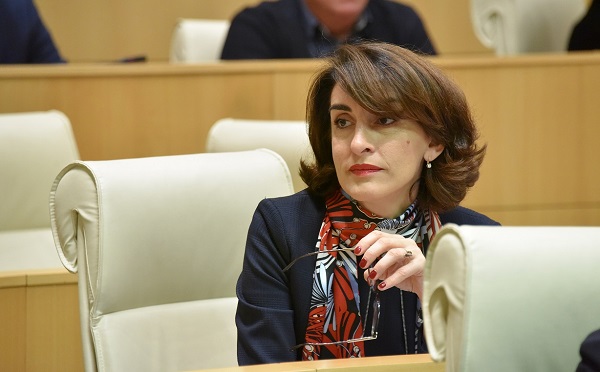წელიწადზე მეტია, ვხედავთ ოპოზიციის და ე.წ.სამოქალაქო აქტივისტების მხრიდან საქართველოს ევროპული მომავლის წინააღმდეგ მიმართულ დაუღალავ კამპანიას - მაკა ბოჭორიშვილი 