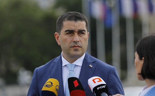 მიხეილ სააკაშვილთან ვიზიტები სინამდვილეში ატარებდა პოლიტიკური პაემნის ხასიათს - შალვა პაპუაშვილი