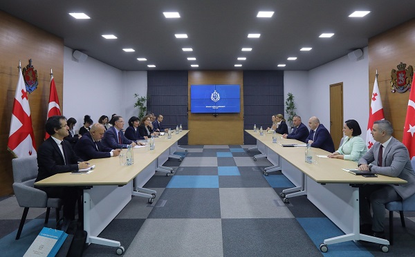 შინაგან საქმეთა მინისტრის მოადგილე თურქეთის რესპუბლიკის მთავარ ომბუდსმენს შეხვდა