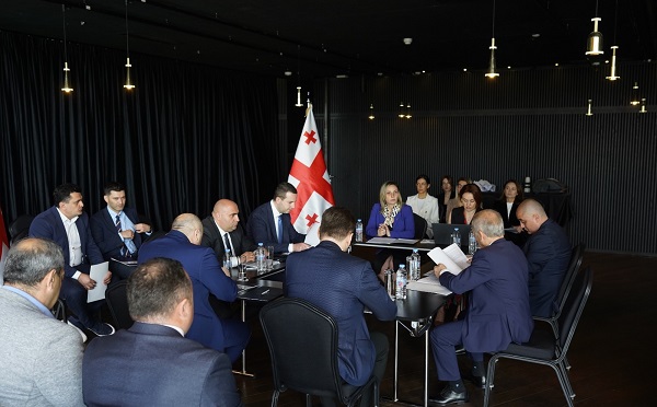 სპეციალური საგამოძიებო სამსახურის გამომძიებლები დროებითი მოთავსების იზოლატორებში შესვლას ნებართვის გარეშე შეძლებენ