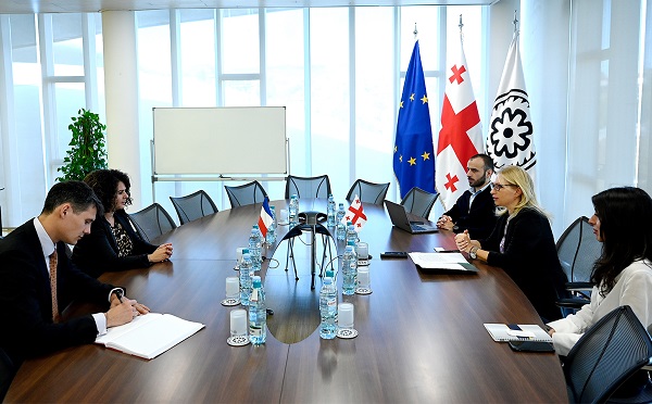 ნათია თურნავა საფრანგეთის ელჩს შეხვდა