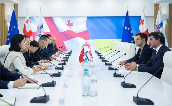 კახა კალაძე ჩინეთის პროვინცია სიჩუანის დელეგაციის წარმომადგენლებს შეხვდა