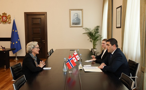 შალვა პაპუაშვილმა საქართველოში ნორვეგიის სამეფოს ელჩთან გაცნობითი შეხვედრა გამართა